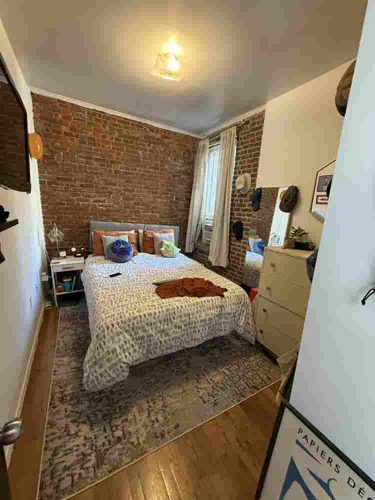 Queen-Size BR in renovated apt