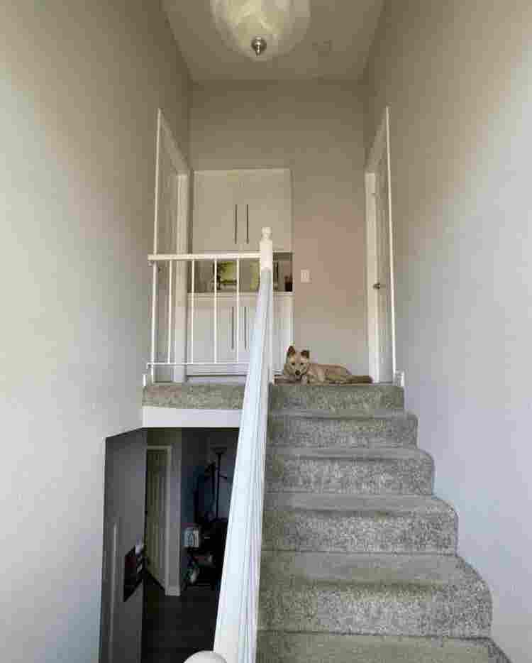 Master Bedroom Available Now