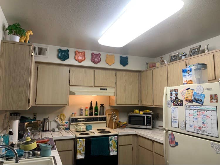 Spare Room for Rent