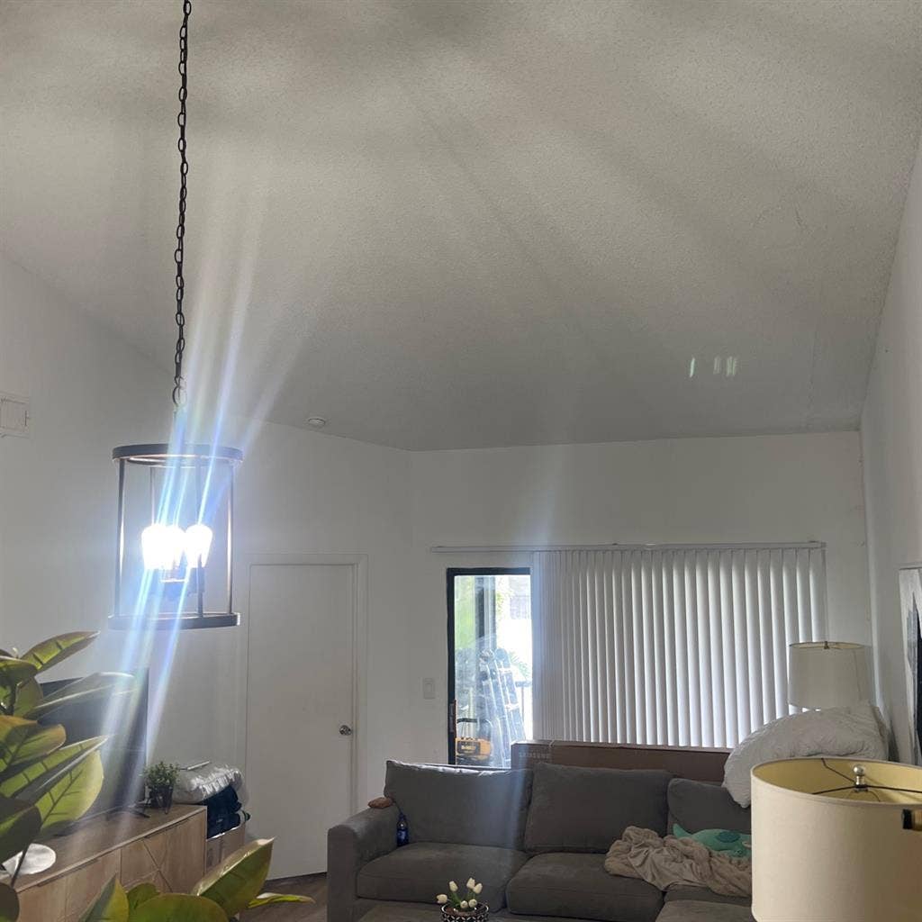 Roommate to move in asap