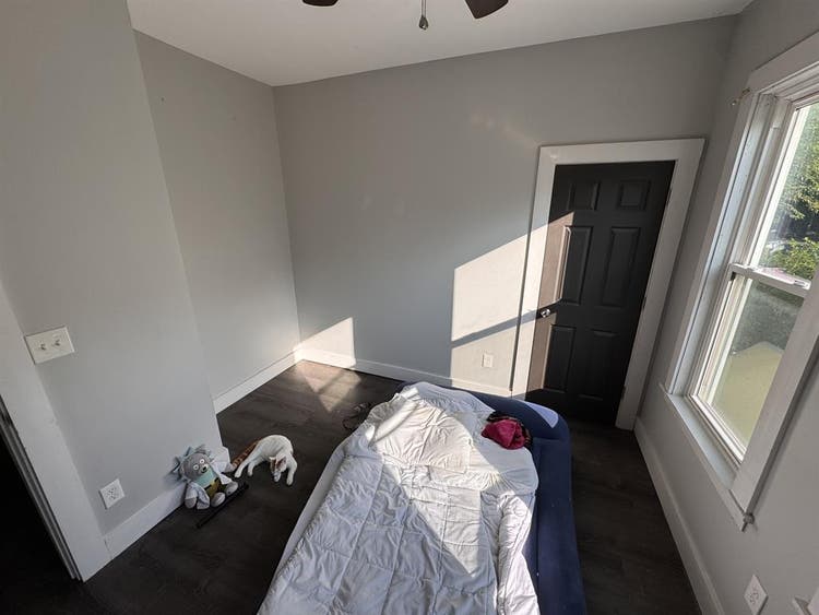 Roomate needed immediately