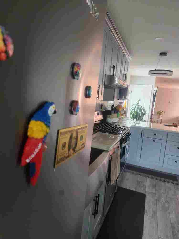 1 bedr,&bat,private entrance studio