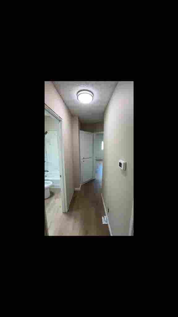 Toluca Lake Apartment bath