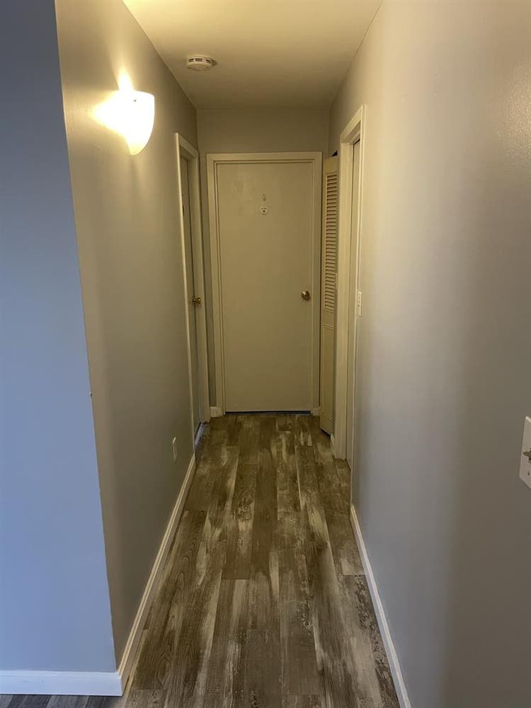 Need a roommate by November 1st