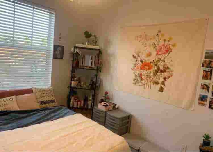 Roommate wanted