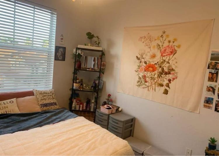 Roommate wanted