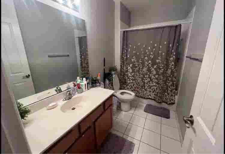 Roommate wanted
