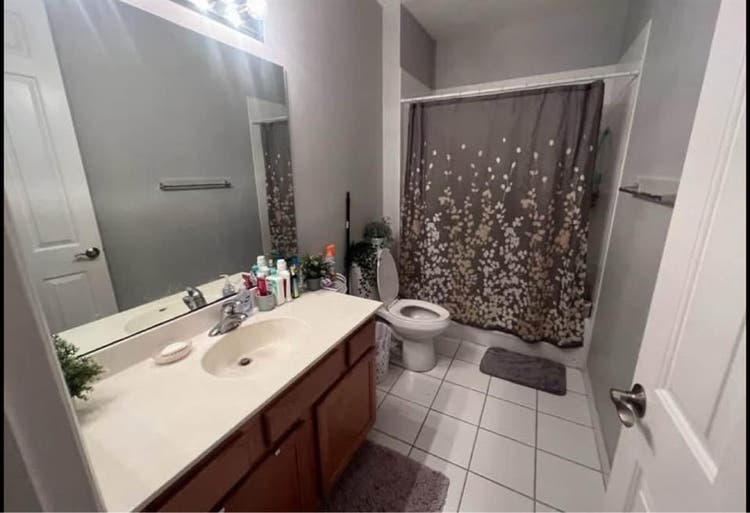 Roommate wanted