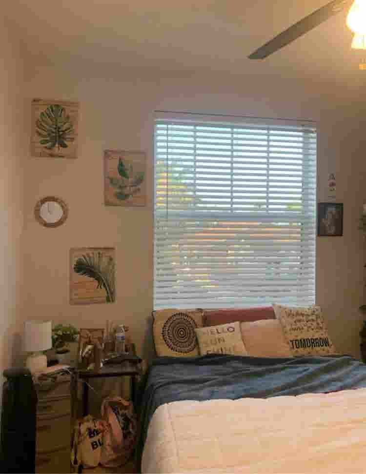 Roommate wanted