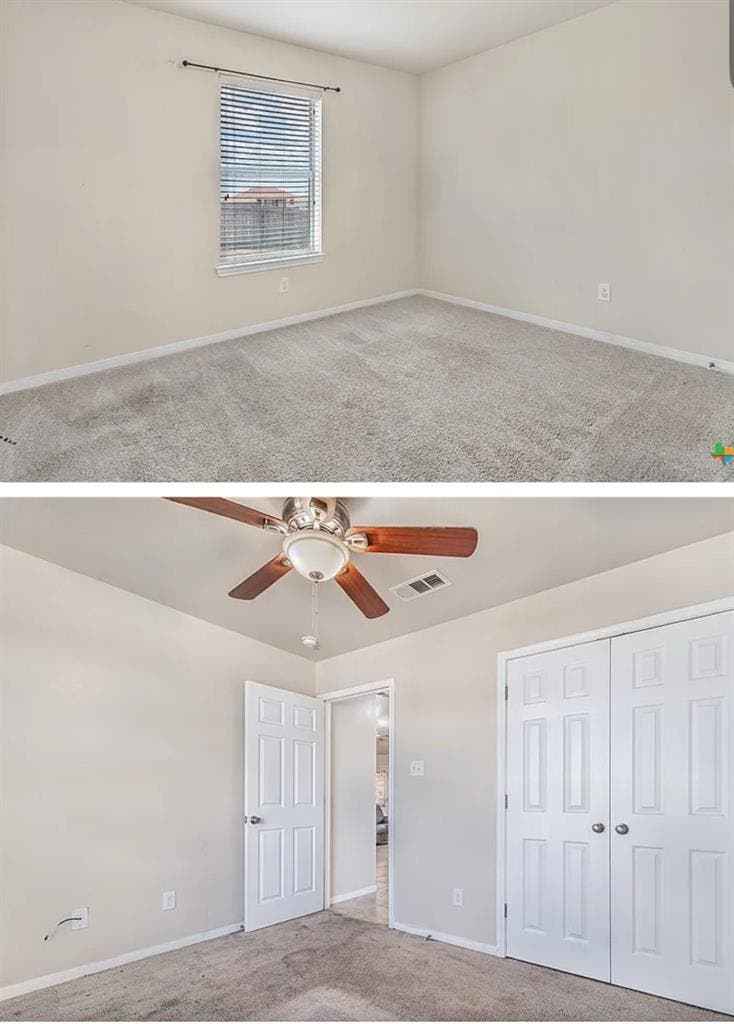 Looking for a roommate
