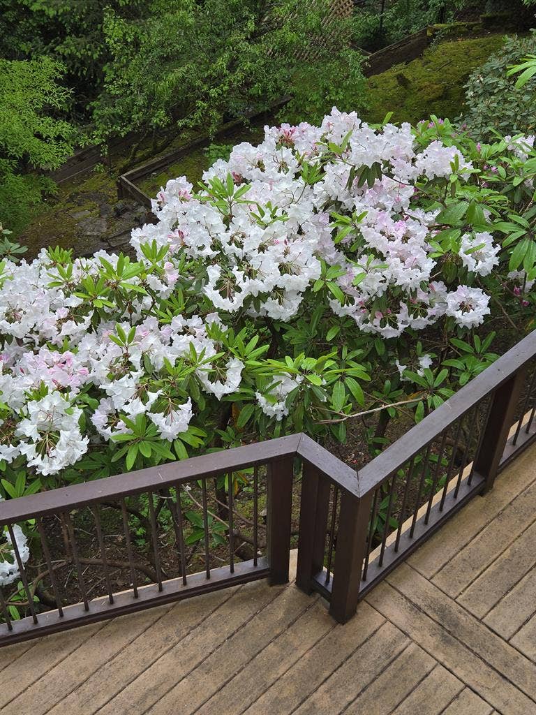 House share in a residential dist.