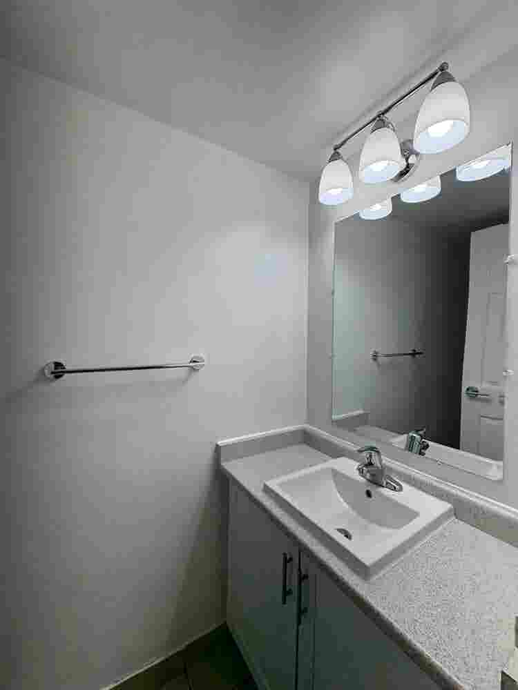 Looking for a female roommate