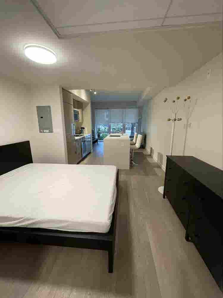 QE park fully furnished studio