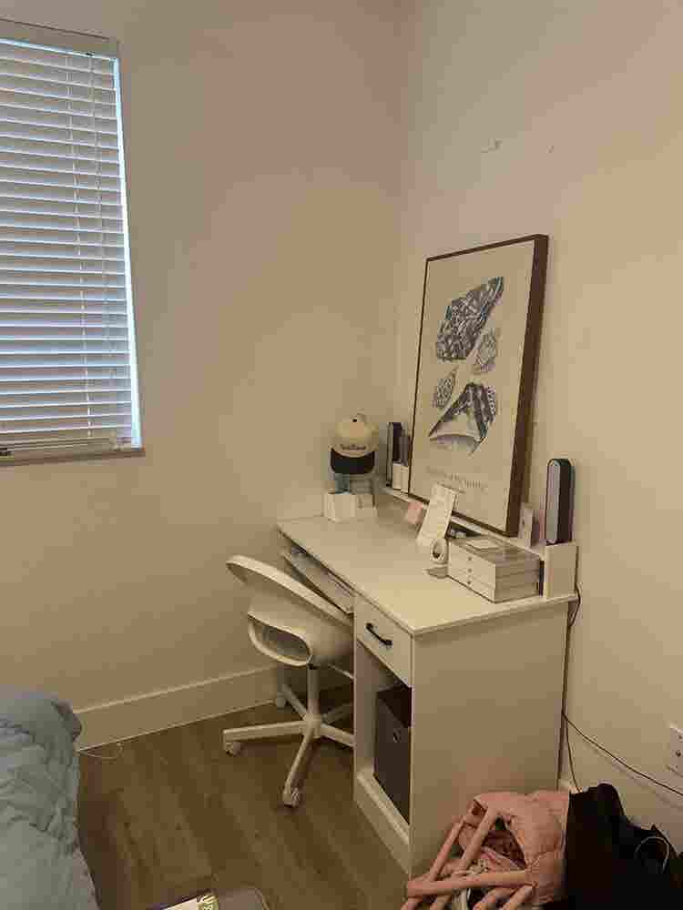 Spring  Sublease