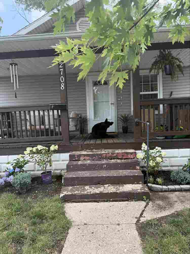 Updated house available South Munci