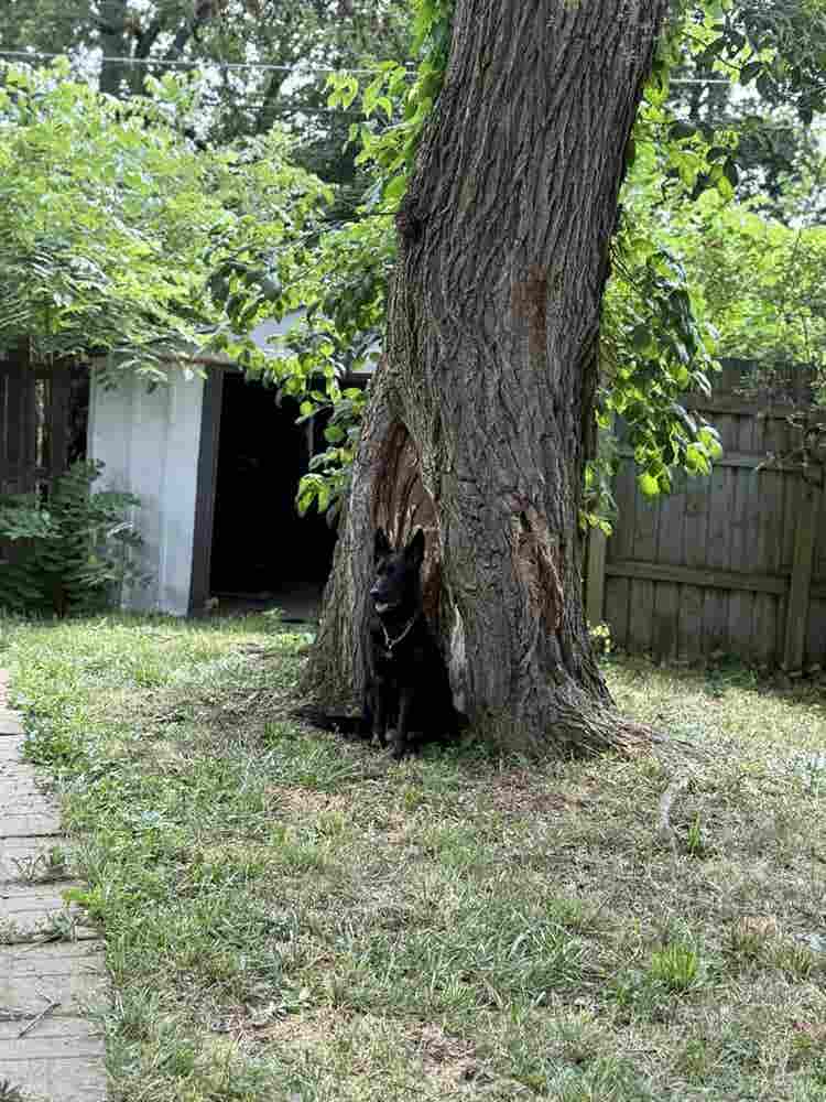 Updated house available South Munci