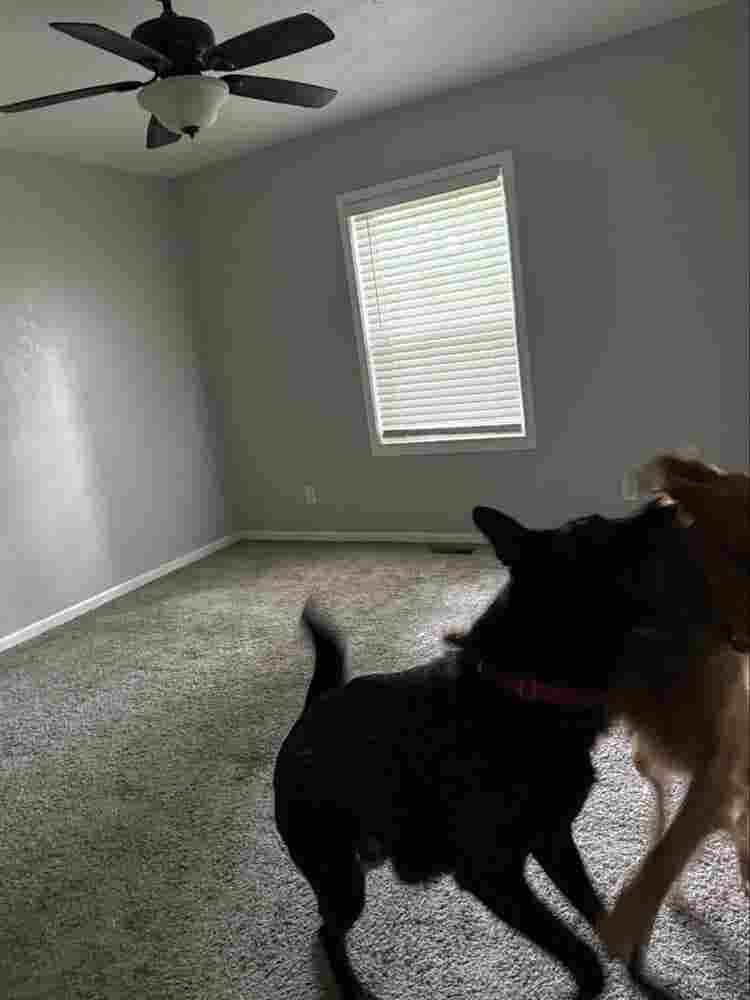 Updated house available South Munci
