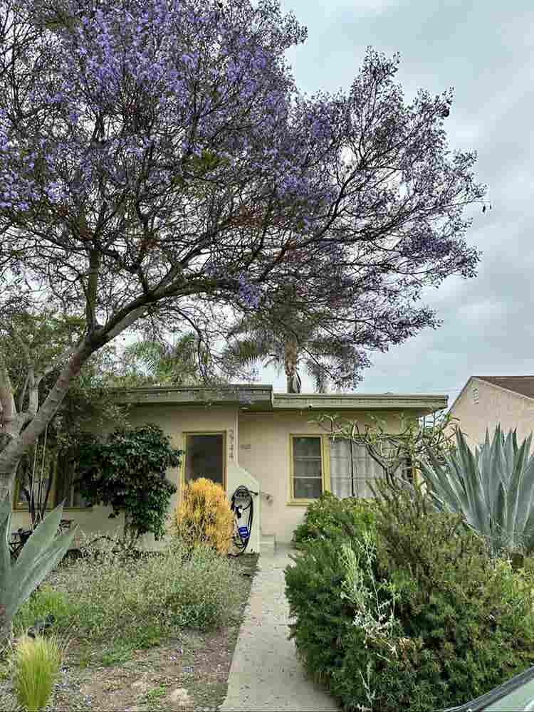 Cozy Long Beach Home – Room Open