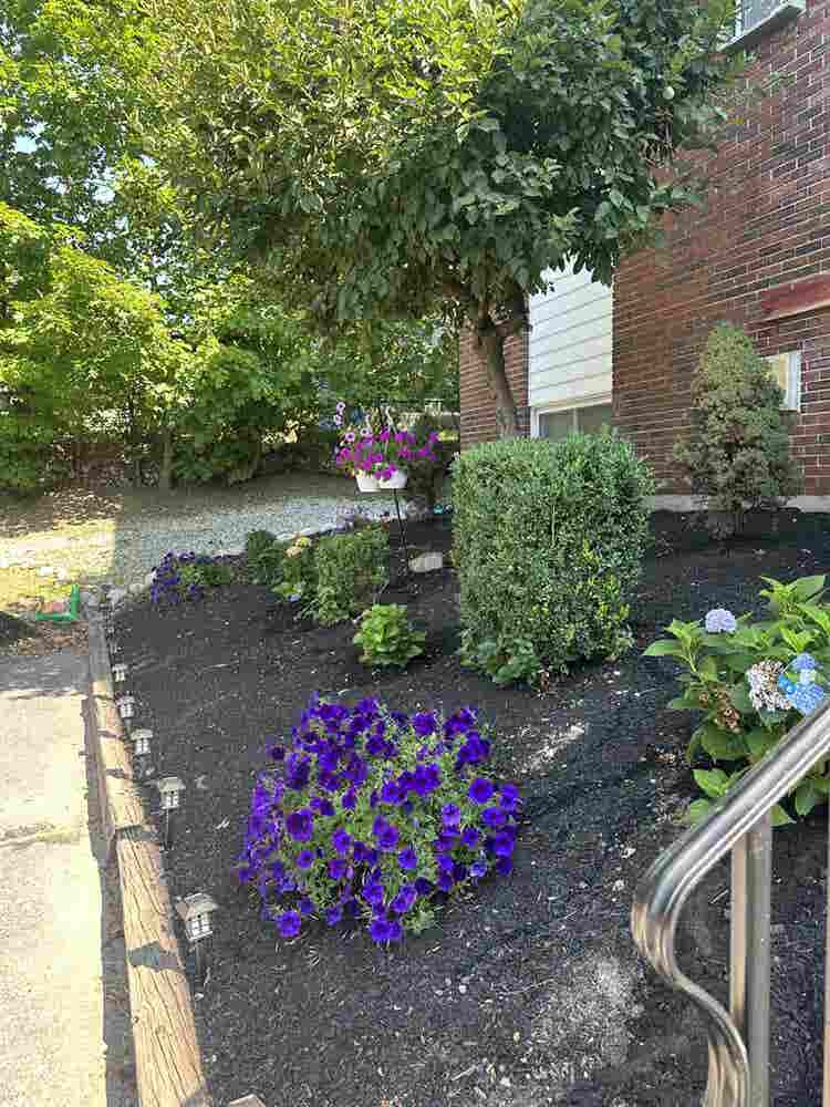 Renovated apartment for rent!