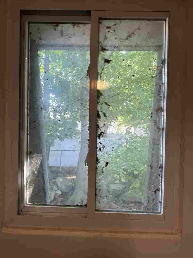 Renovated apartment for rent!