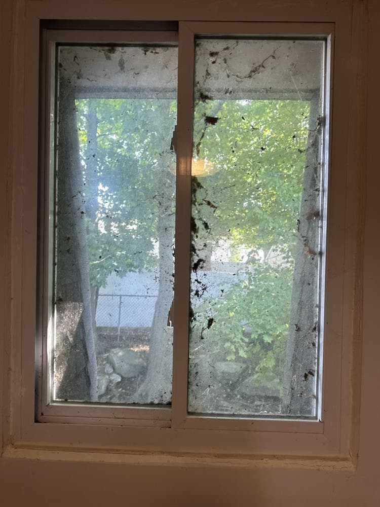 Renovated apartment for rent!