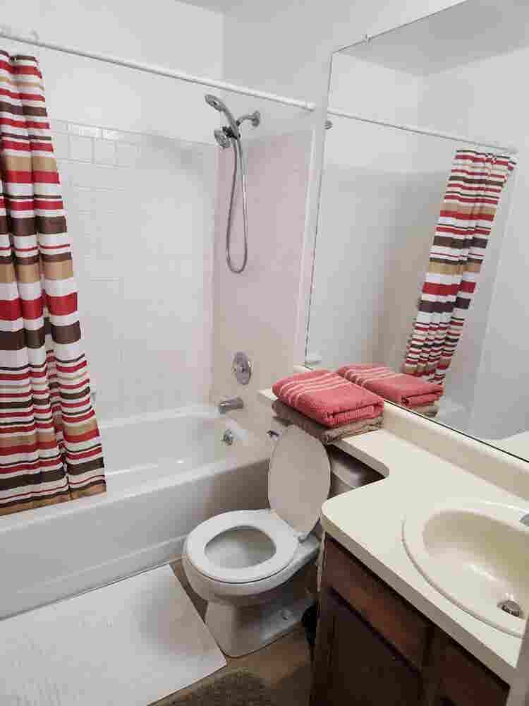Two Furnished Bedrooms Available
