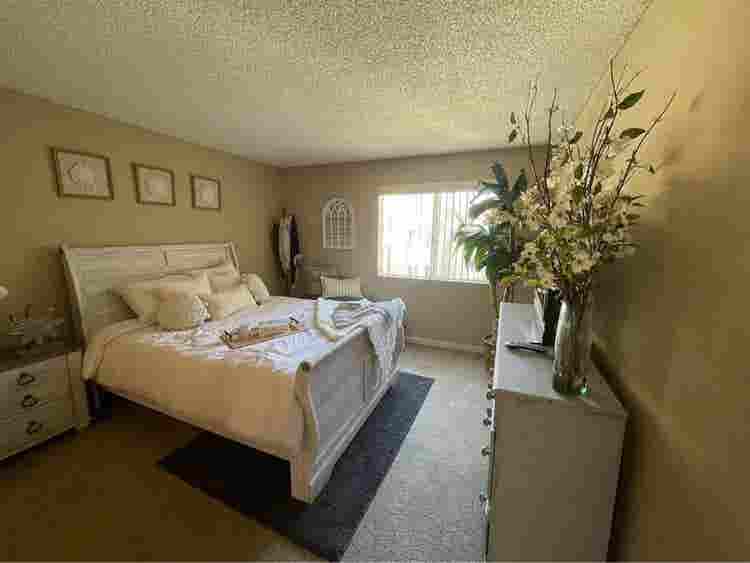 Looking for a cool roommate! 🍁✅