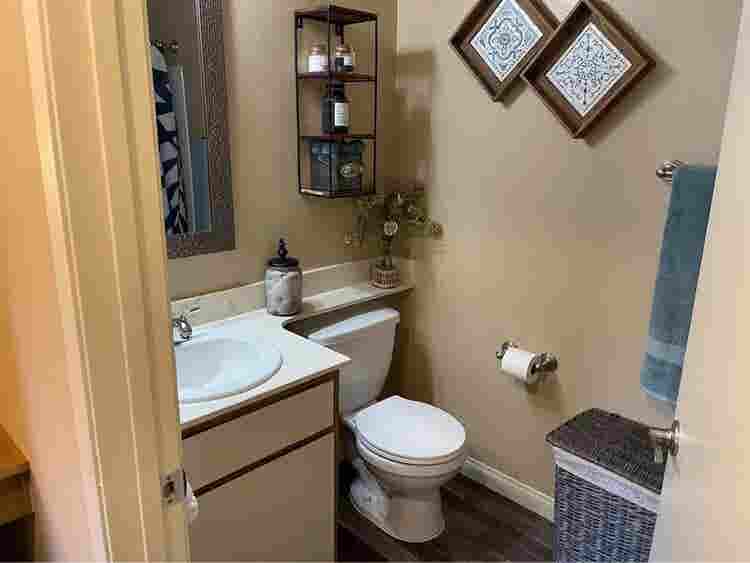 Looking for a cool roommate! 🍁✅