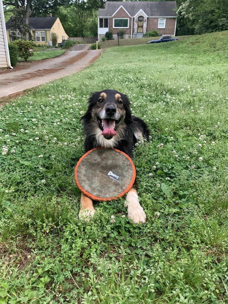 Lg room w/own bathroom in Decatur