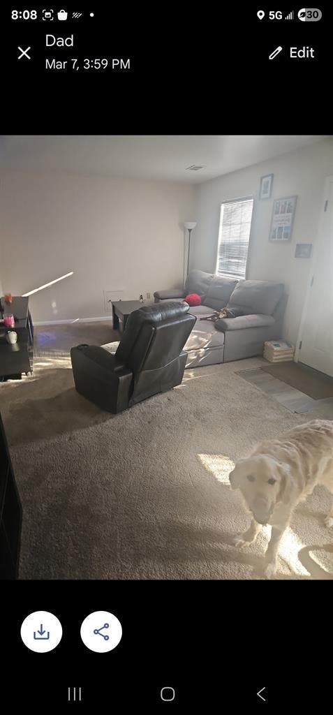 Private room for rent. Full access.