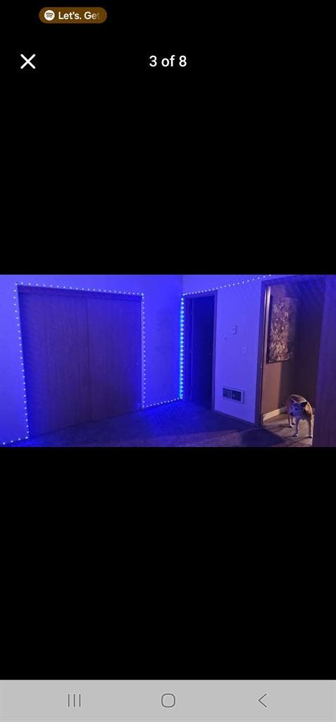 Looking for chill roommate