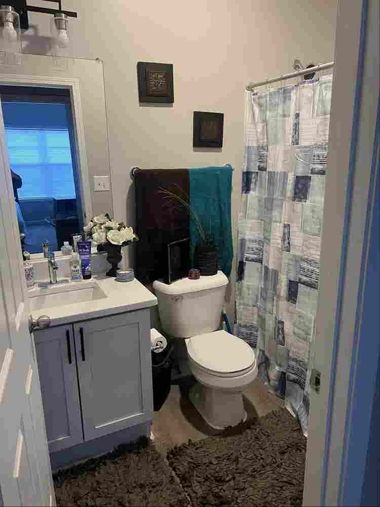 Duluth Roommate Wanted