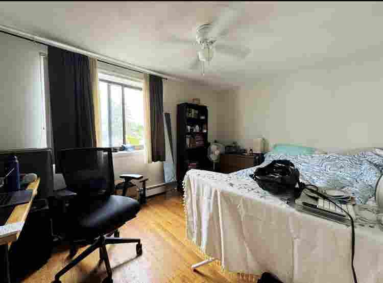 Sunny 2br apt in Cambridge