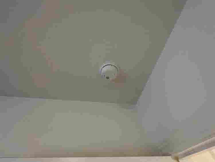 5 BR in Hutto
