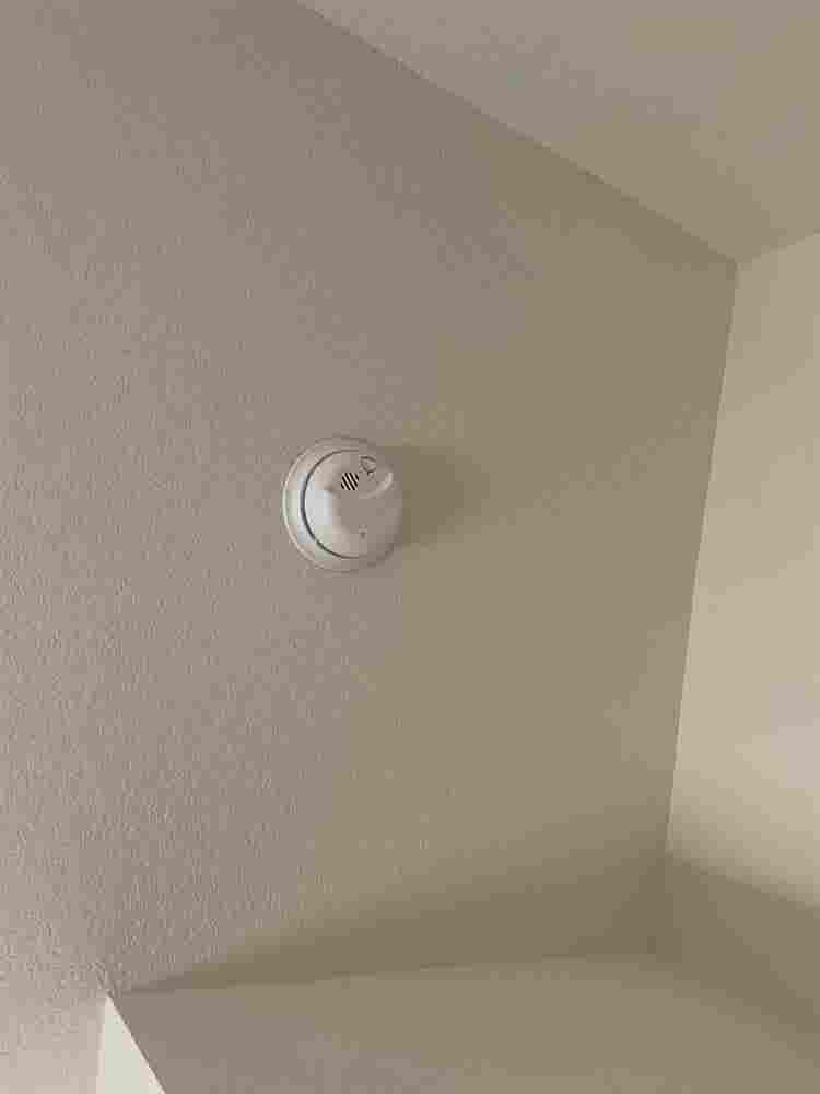 5 BR in Hutto