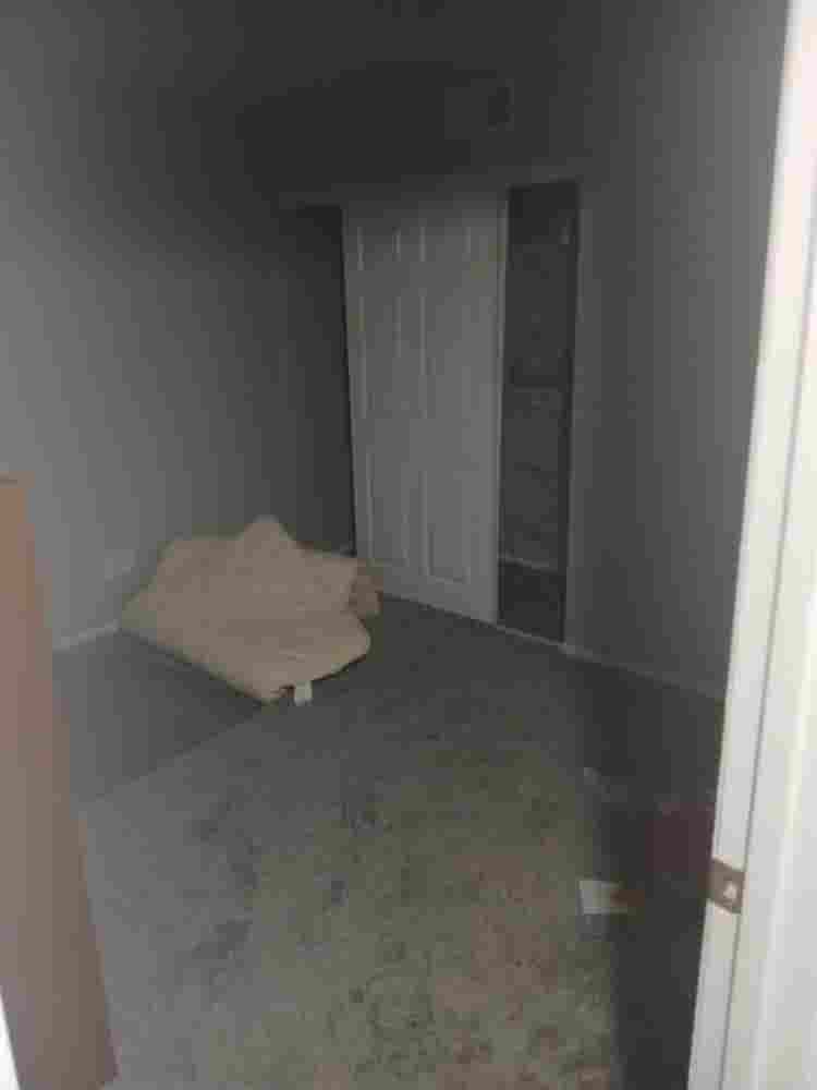 Looking for roomate