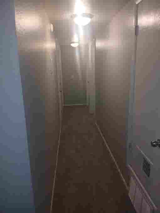 Looking for roomate