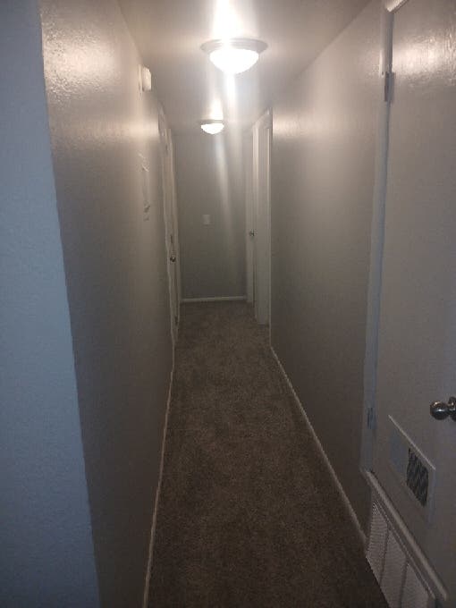 Looking for roomate