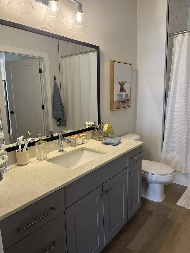 Beautiful one bedroom apartment!