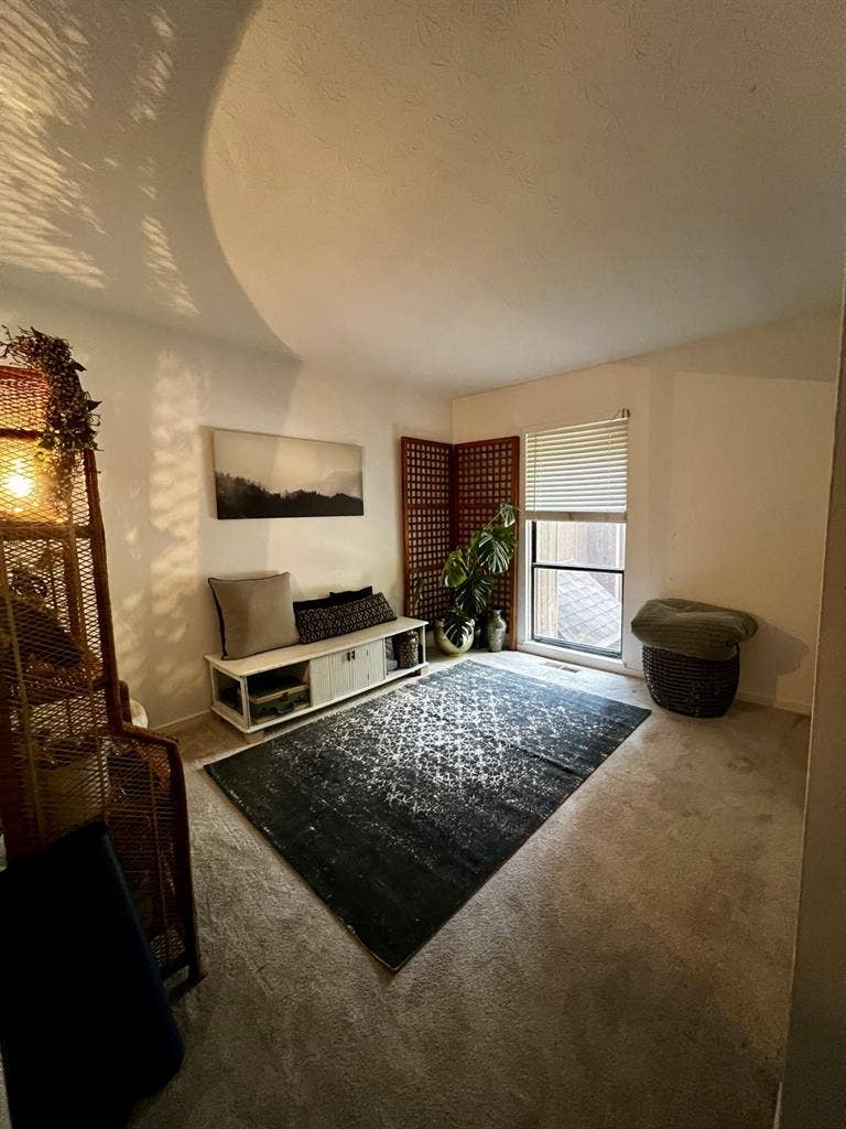 Looking for an additional roommate