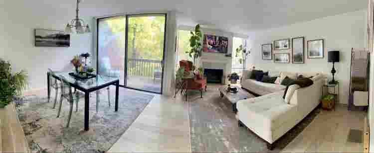 Looking for a roommate