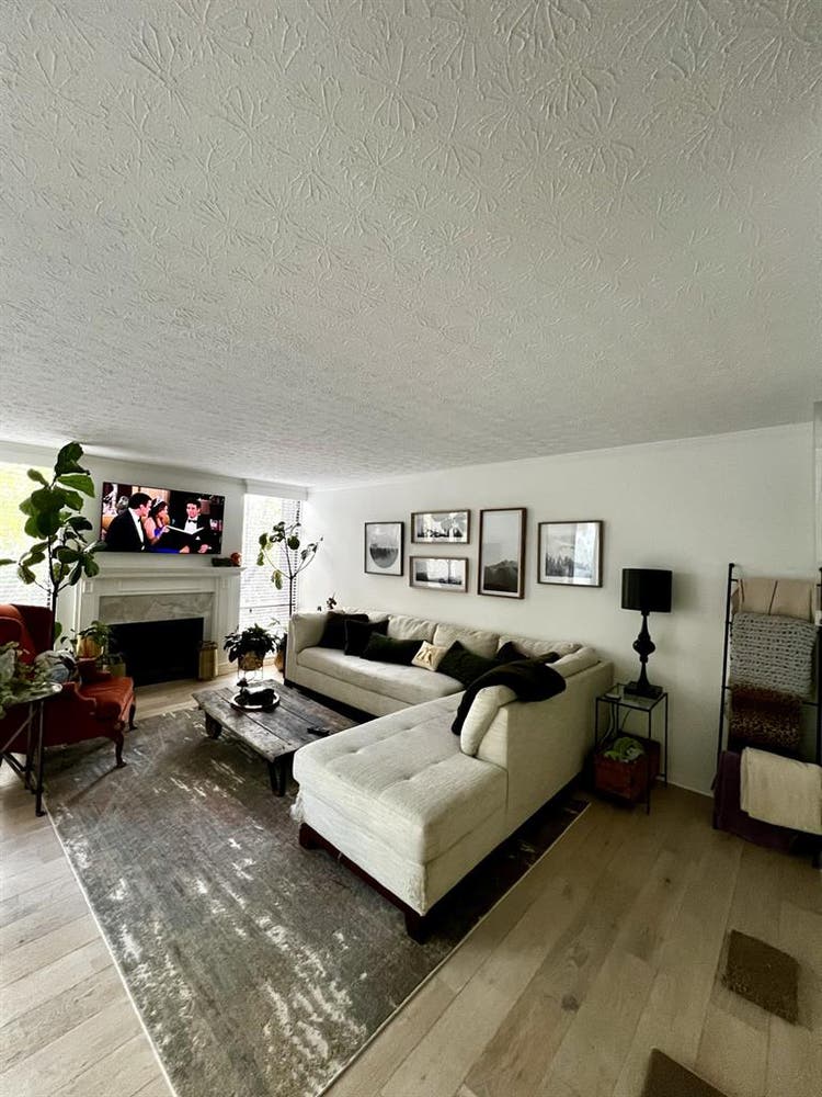 Looking for an additional roommate