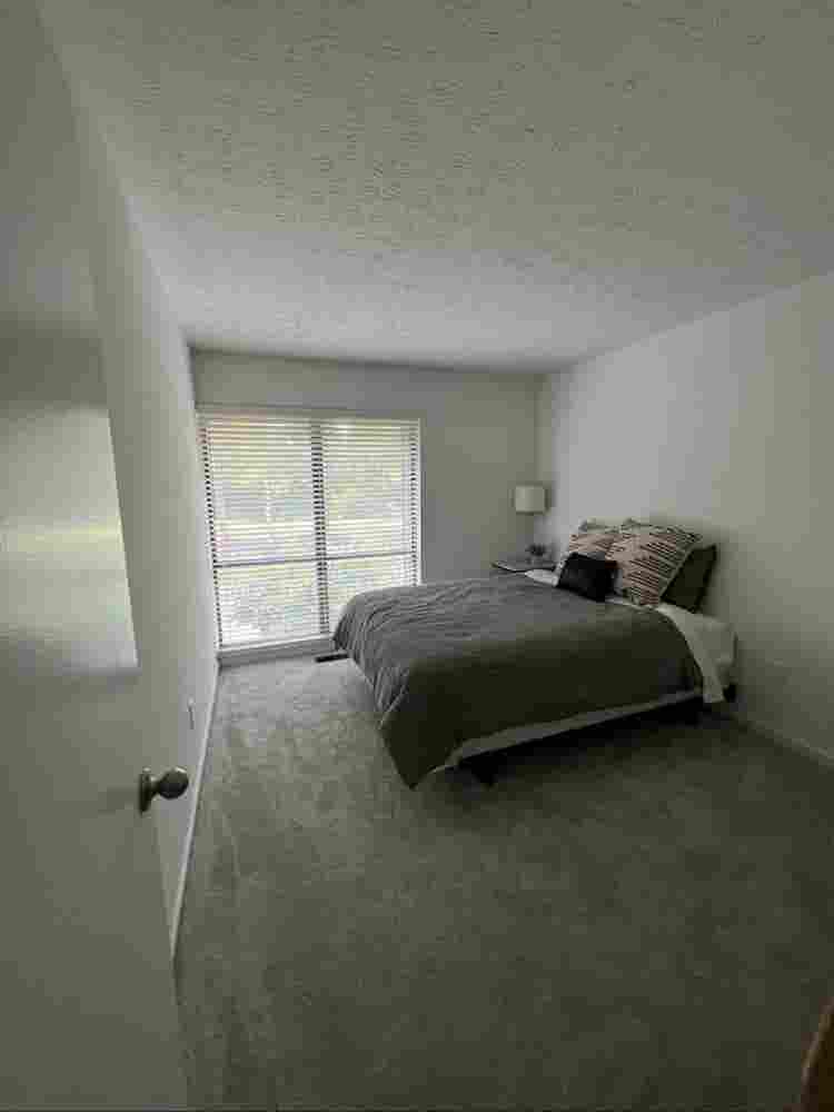 Looking for a roommate