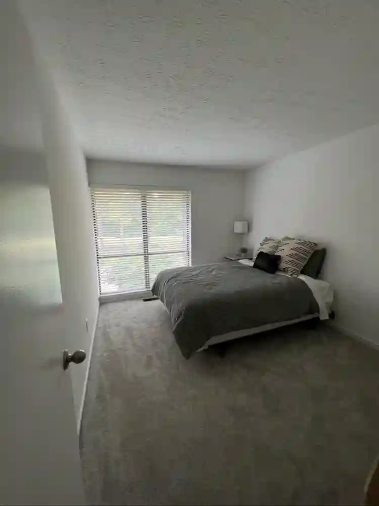 ✨Looking for a roommate✨