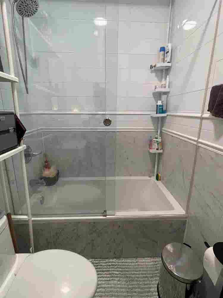 4br Bushwick NY Halsey J/Wilson L