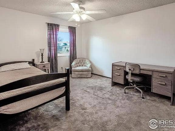 Greeley Room Available Now