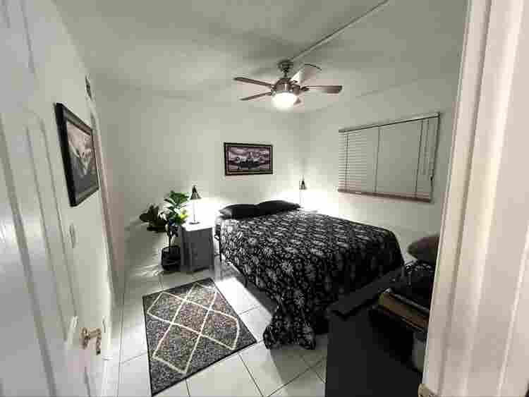 Looking for a roommate