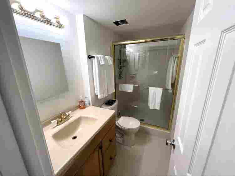 Looking for a roommate