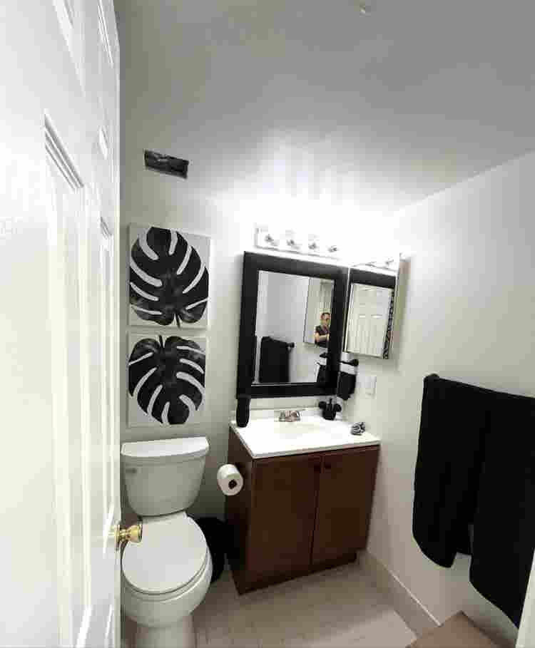 Looking for a roommate
