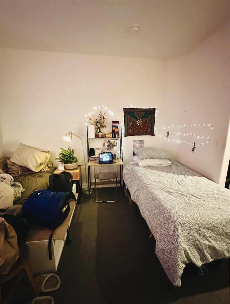 Female Roomie wanted